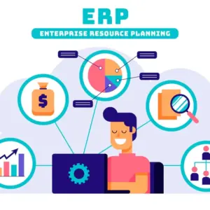 ERP Consultation