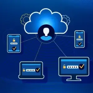 Large Scale Software Licensing